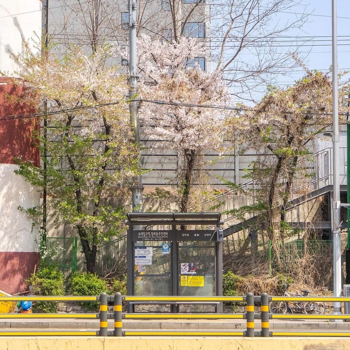 ソウルの隠れたグルメ天国、スクデイック